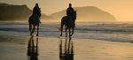Horse-Riding-At-Noordhoek-Beach.jpg