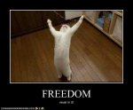 Freedom1.jpg