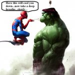 spidey-vs-hulk.jpg