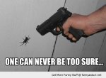 funny-gun-shoot-spider-be-sure-pics.jpg