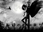 Dark-angel-3-fantasy-35402627-500-375.jpg