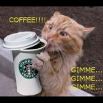 Gimme Coffee.jpg