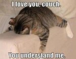 Cat I so much love you Couch.jpg