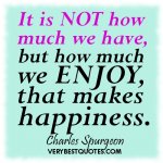 Happiness-quotes-It-is-not-how-much-we-have-but-how-much-we-enjoy-that-makes-happiness..jpg