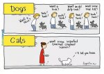Cat-memes-cats-vs-dogs.jpg