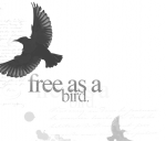 free_as_a_bird.png