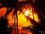 hawaii-beach-sunset-wallpaper.jpg