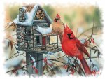cardinals-rustic-retreat.jpg
