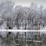 17756945-winter-river-and-trees-in-winter-season-vilnius--lithuania.jpg