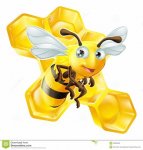 cartoon-bee-honey-comb-illustration-cute-front-35635905.jpg