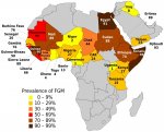 FGM_prevalence_UNICEF_2013.svg.jpg