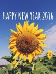 226758-Happy-New-Year-2016.jpg