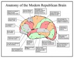 conservative-brain.jpg