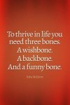3 Bones.jpg