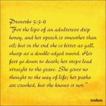 Proverbs 5v3-9.jpg