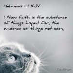 Hebrews 11v1.jpg