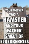 your mother was a hamster.jpg