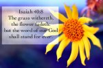 isaiah-chapter-40-verse-8-arlene-nanouk.jpg