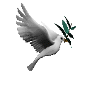 animated_dove.gif
