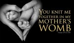 mothers-womb-550x320.jpg