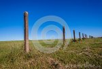 fence-poles-green-grass-blue-remains-stripped-field-sky-35122530.jpg