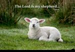 The-Lord-Is-My-Shepherd.jpg