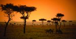 Kenya_sunset.jpg