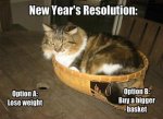 New-Years-Resolution-Memes-Cats.jpg