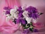 Lilacs-Flower-Bouquet.jpg