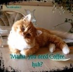 Mama Needs Coffee.jpg