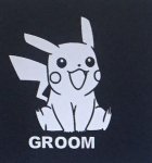 PikachuGroom.jpg