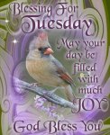 DayTuesday-May-Your-Day-Be-Filled-With-Much-Joy-God-Bless-You.jpg