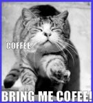 Bring Me Coffee.jpg