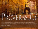 Proverbs 3v3.jpg
