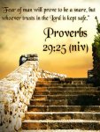 Proverbs 29v25.jpg