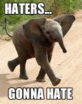 haters_gonna_hate_elephant-14272.jpg