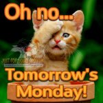 Tomorrow's Monday!.jpg