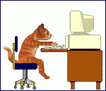 a_cat_computer.gif