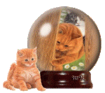 animal-graphics-cats-064854.gif