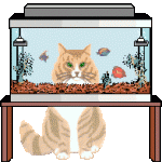 animal-graphics-cats-839558.gif