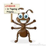 1.ant with placard with text.jpg