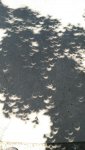 eclips shadows.jpg