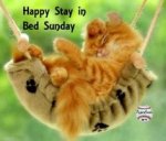 Happy Stay In Bed Sunday.jpg
