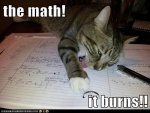 math is hard cat.jpg