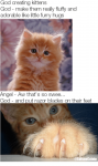god-creating-kittens-god-make-them-really-fluffy-and-adorable-3455882.png