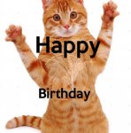 happy-birthday-cat-p.jpg