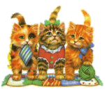 animal-graphics-cats-908360.gif