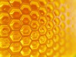 251920-honeycomb.jpg