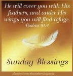 Psalm 91v4-Sunday.jpg