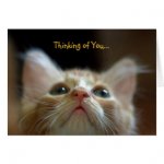 greeting_card_with_adorable_orange_tabby_kitten-ra10ebfd335ba4bc0acfebac652a0ac59_xvuak_8byvr_32.jpg